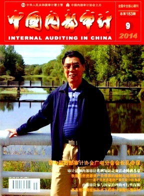 中國內(nèi)部審計(jì)